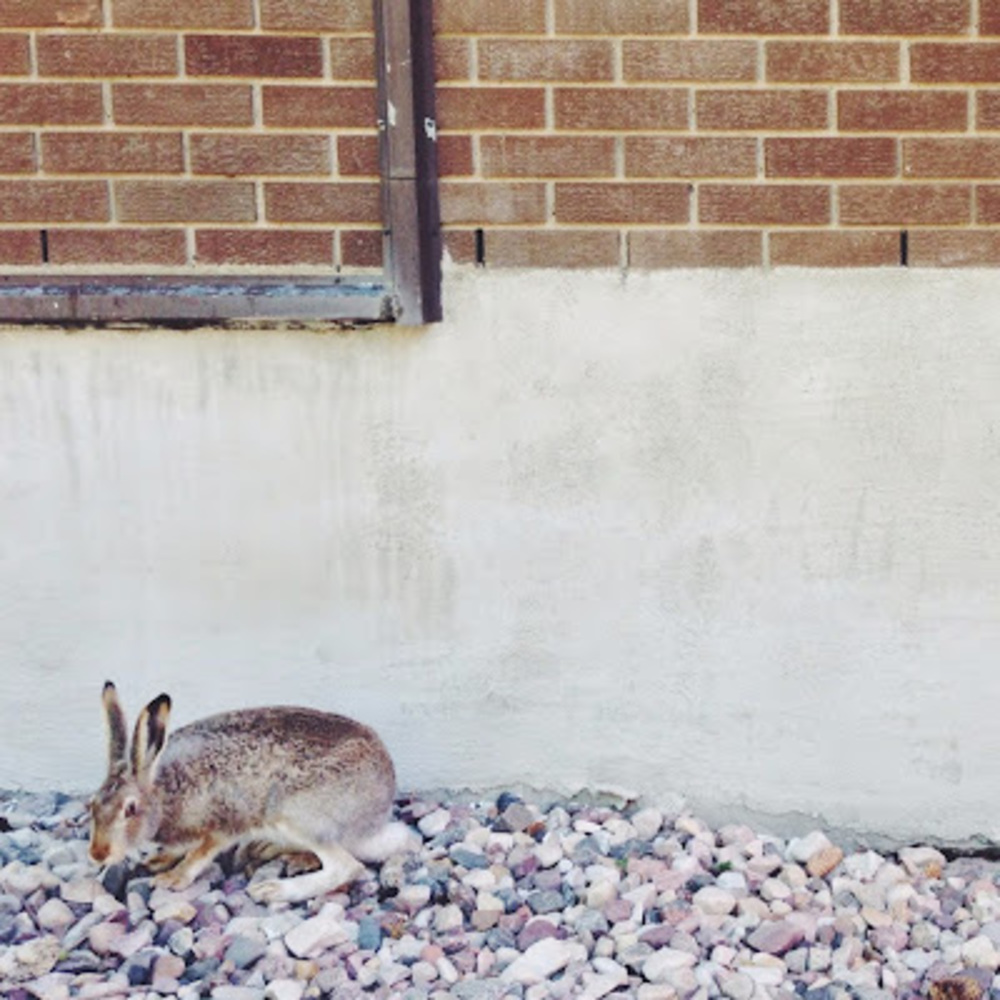 Meet your Posher, Keisha